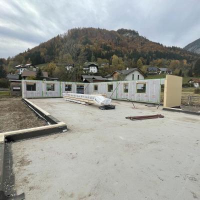 Img 0981